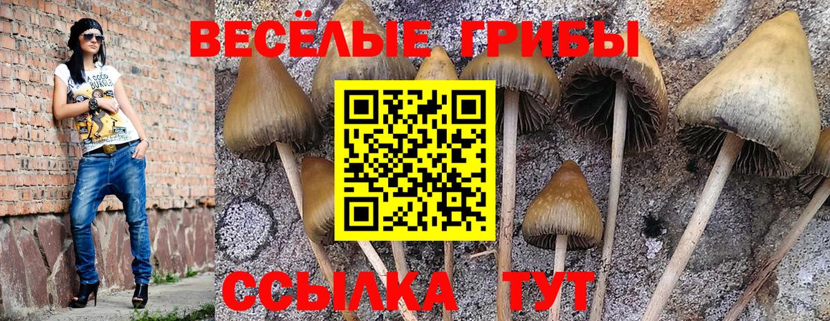 Галлюциногенные грибы ЛСД Махачкала