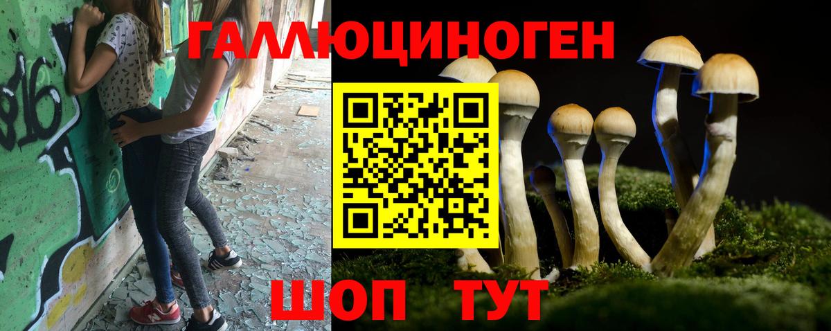 Псилоцибиновые грибы ЛСД  Вход с VPN  Махачкала 