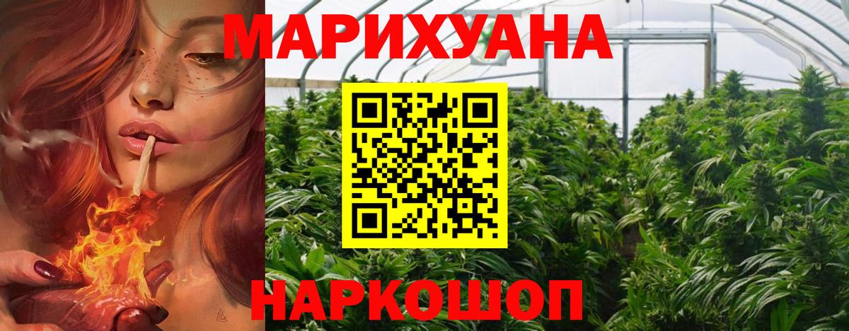 Конопля сатива Махачкала